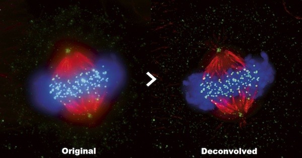 Olympus cellSens 2.1 Driving research forward faster